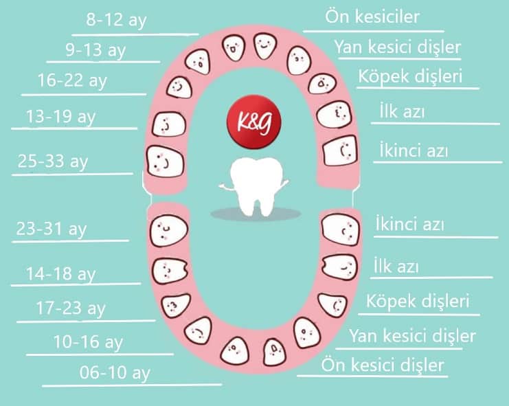 Sut Disi Nedir Sut Disi Sorulari Dentmoda Kadikoy Dis Klinigi