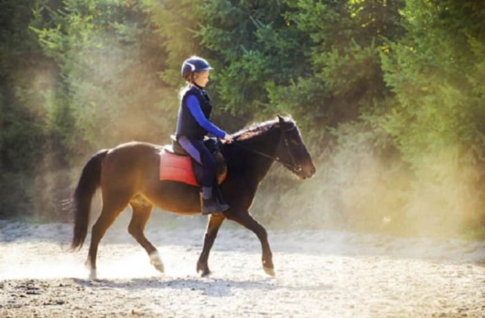 Çocuklar için binicilik alternatif bir spor dalı