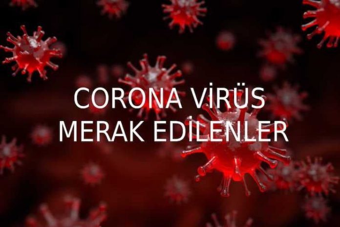 Corona virüs hakkında merak edilen soruları Prof.Dr.Mehmet Ceyhan yanıtladı