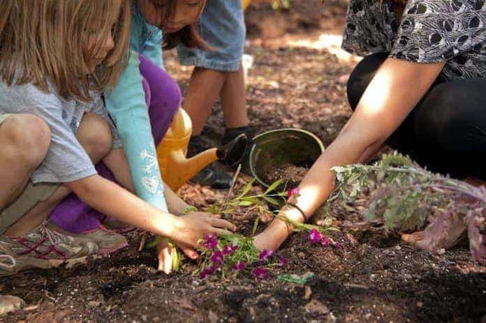 How to teach gardening to children?
