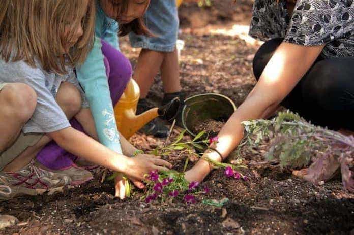 Çocuklara bahçe işleri nasıl öğretilir? How to teach gardening to children?
