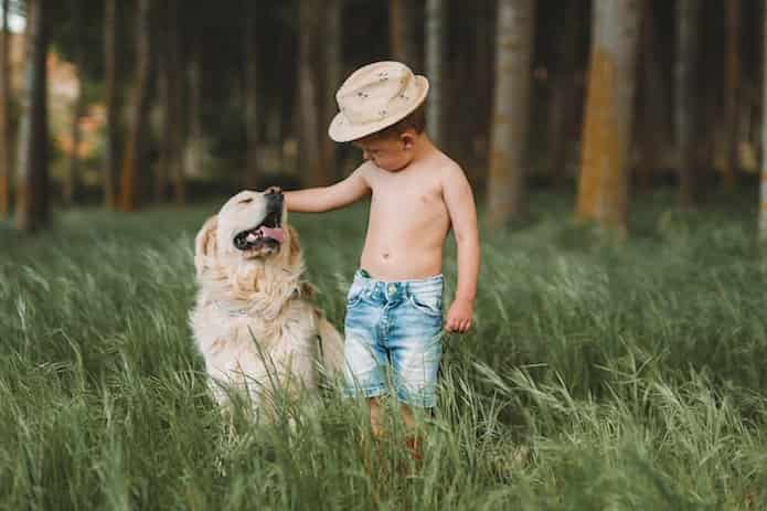 Çocuğunuzu köpek ısırmasından korumanın yolları