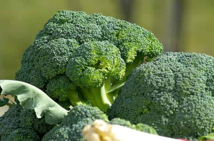 Brokolinin besin değeri nedir?Neden brokoli yemeliyiz?